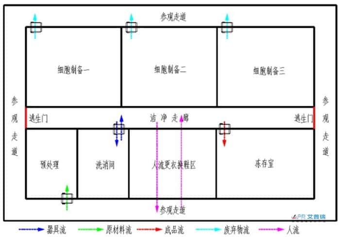 干细胞实验室布局怎么设计？